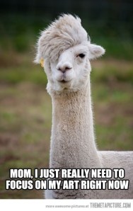 llama art focus